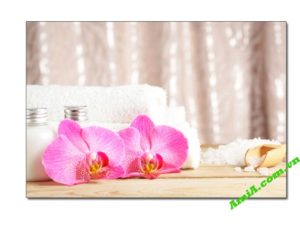 Tranh trang trí quán Spa hình ảnh hoa lan hồng bên khăn tắm trắng AmiA 0204112024